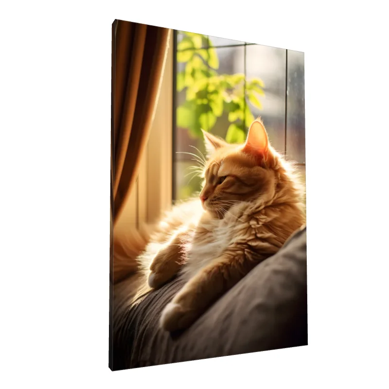 Tablou canvas: Pisică Răsfățată la Fereastră