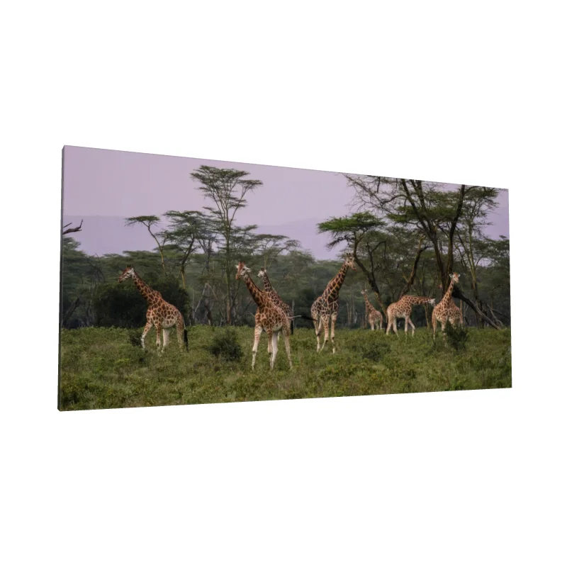 Tablou canvas: Girafe în Savana Africană la Apus