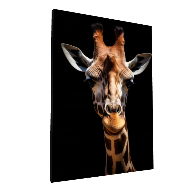 Tablou canvas: Portret Girafă pe Fundal Negru - Image 1