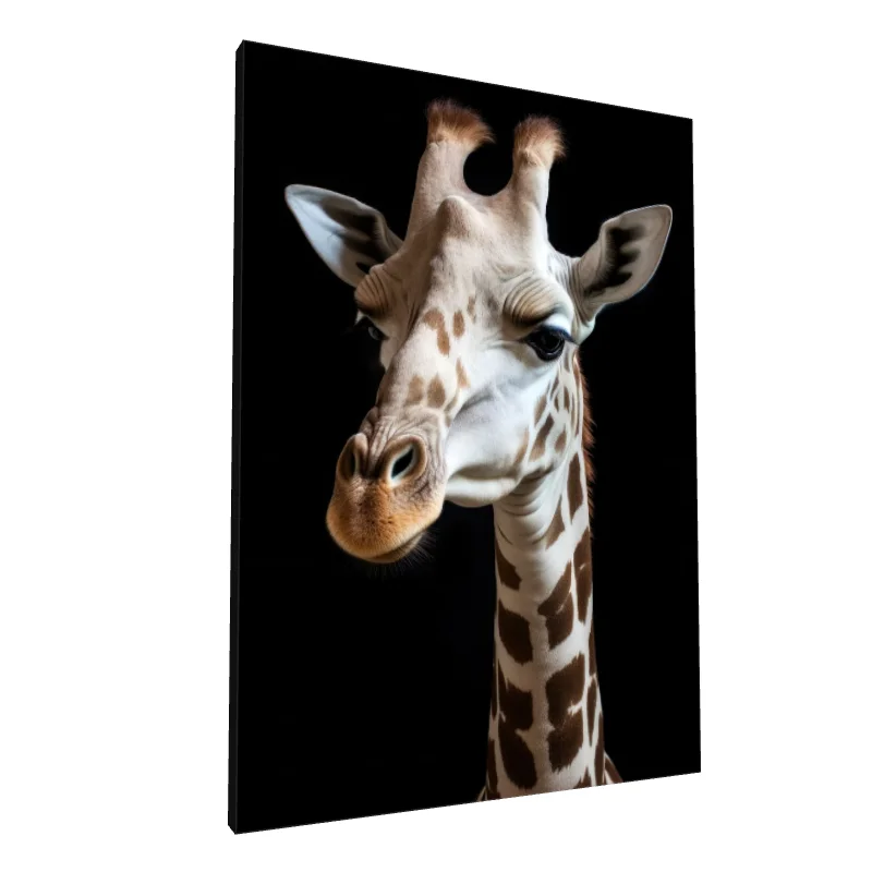 Tablou canvas: Portret Detaliat Girafă pe Fundal Negru