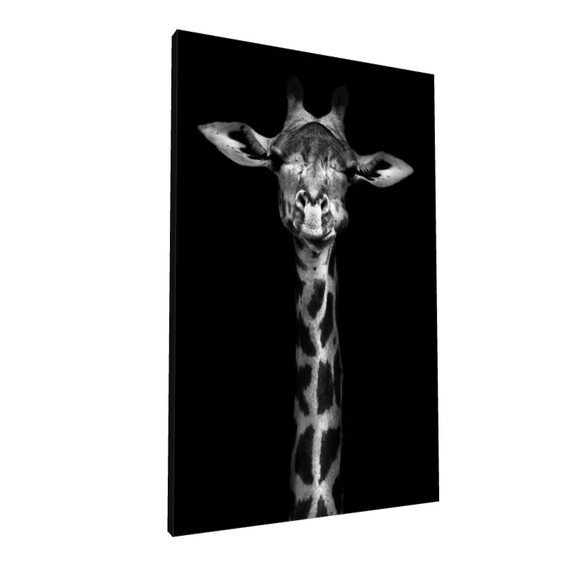 Tablou canvas: Portret de Girafă în Alb-Negru - Image 1