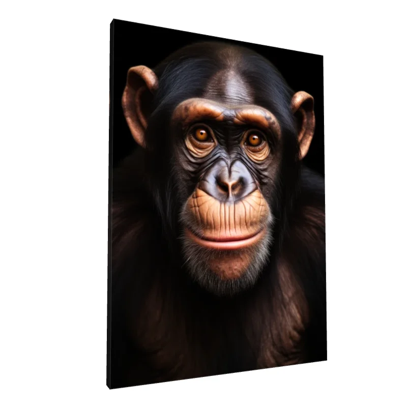 Tablou canvas: Portret Realist de Cimpanzeu (2) - Image 1