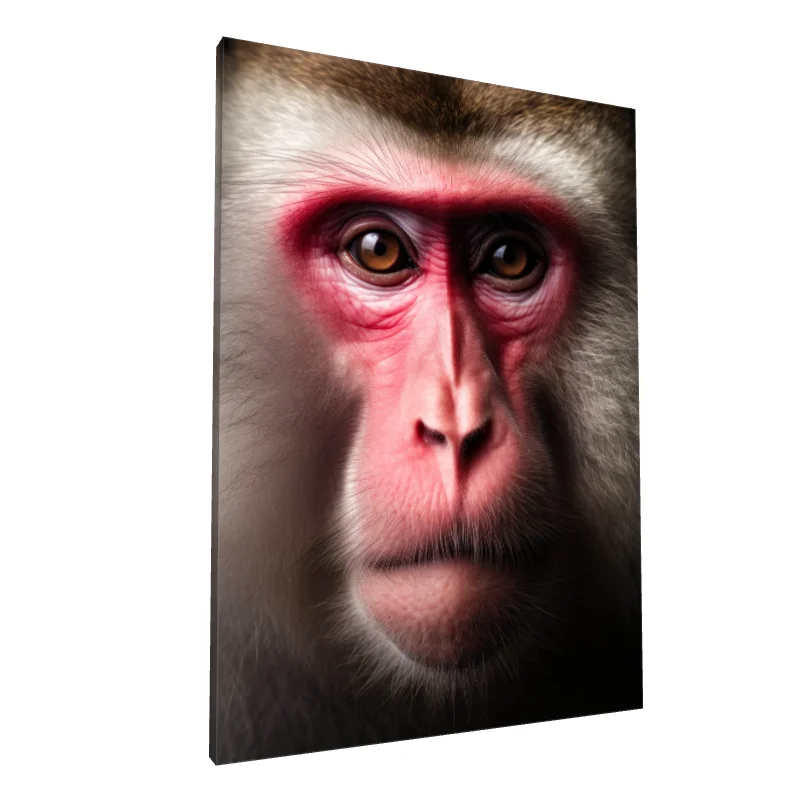 Tablou canvas: Portret Realist de Maimuță cu Privire Intensă - Image 1