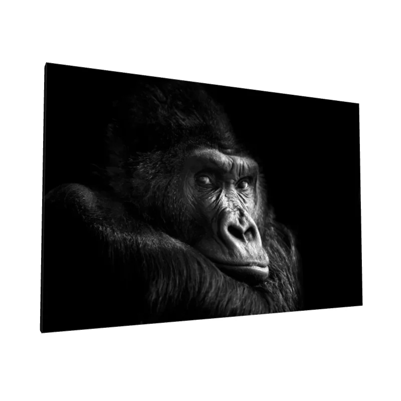Tablou canvas: Portret Gorilă în Contrast Dramatic - Image 1