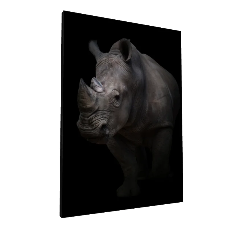 Tablou canvas: Portret Realist Rinocer pe Fundal Negru (2) - Image 1