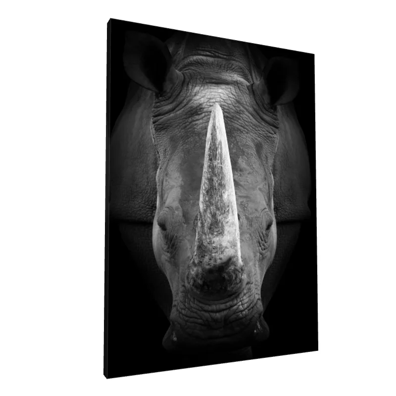Tablou canvas: Portret Rinocer în Alb-Negru - Image 1