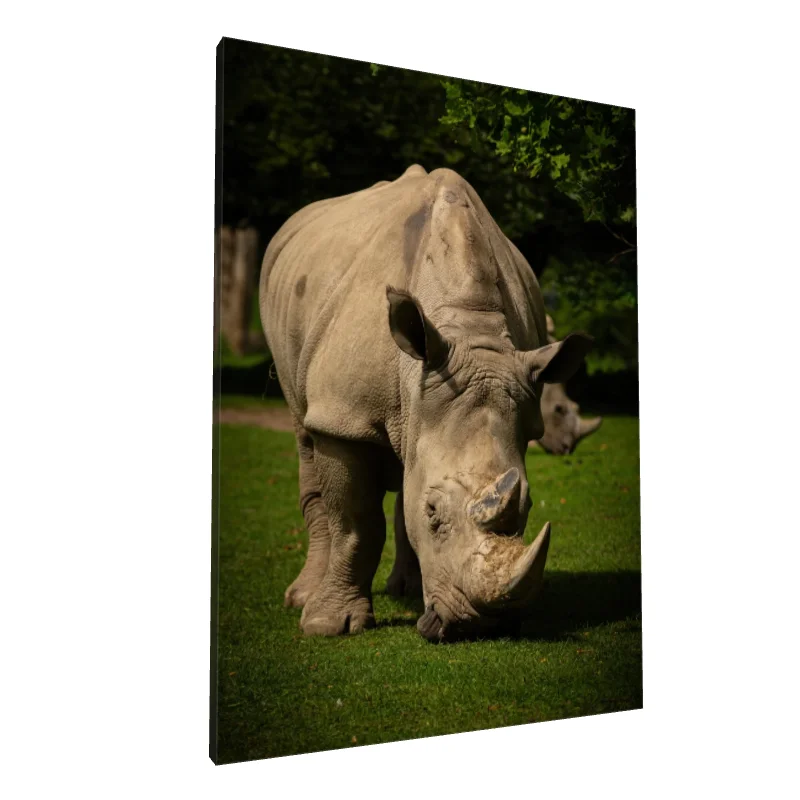 Tablou canvas: Rinocer în Peisaj Natural - Image 1