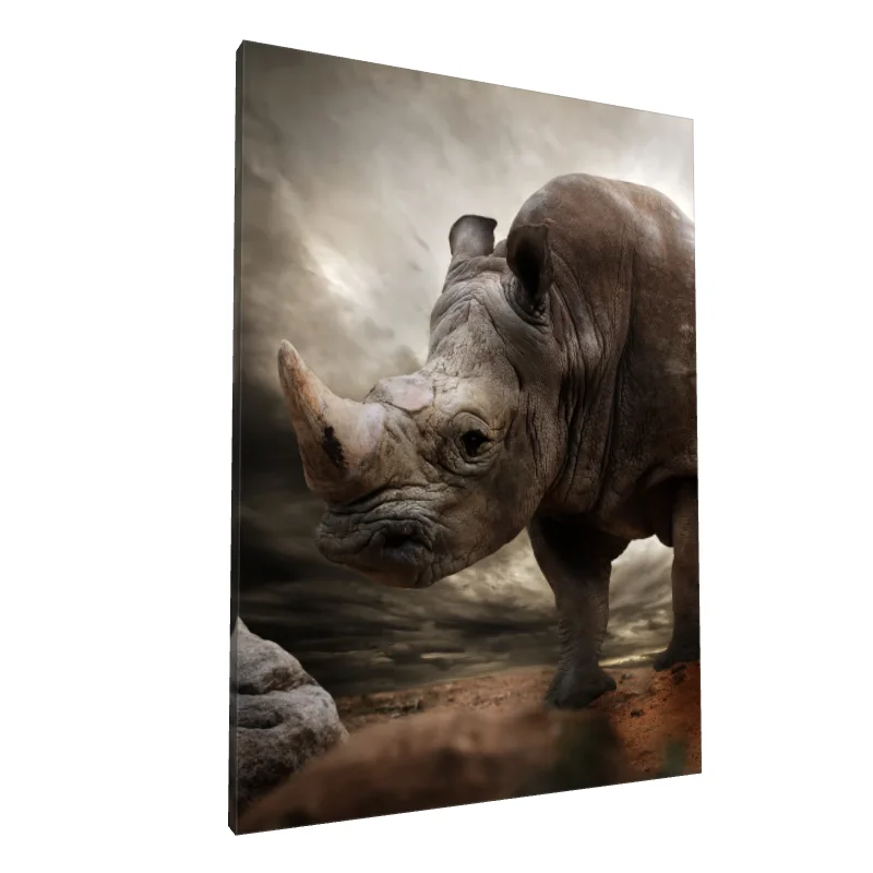 Tablou canvas: Portret Realist de Rinocer