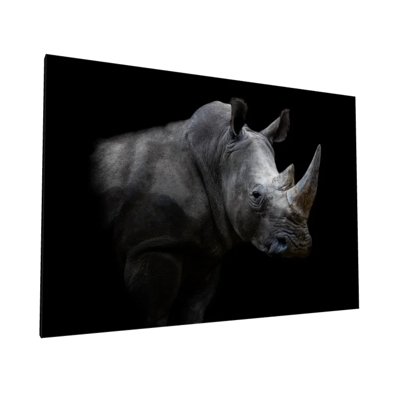 Tablou canvas: Portret Realist Rinocer pe Fundal Negru 2 - Image 1