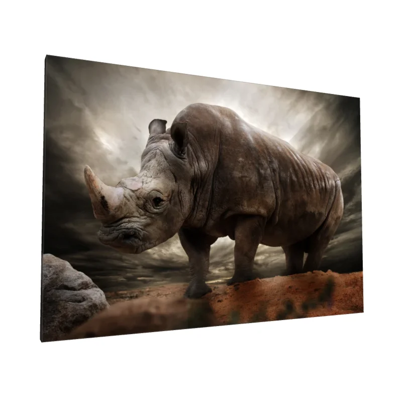 Tablou canvas: Rinocer în Peisaj Dramatic