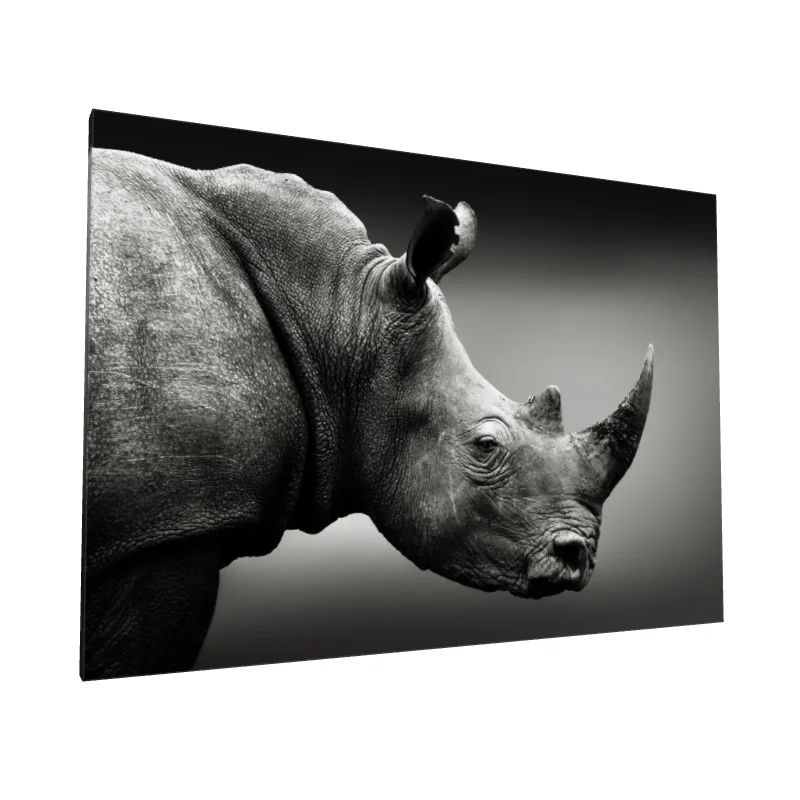 Tablou canvas: Portret Realist de Rinocer în Alb-Negru - Image 1