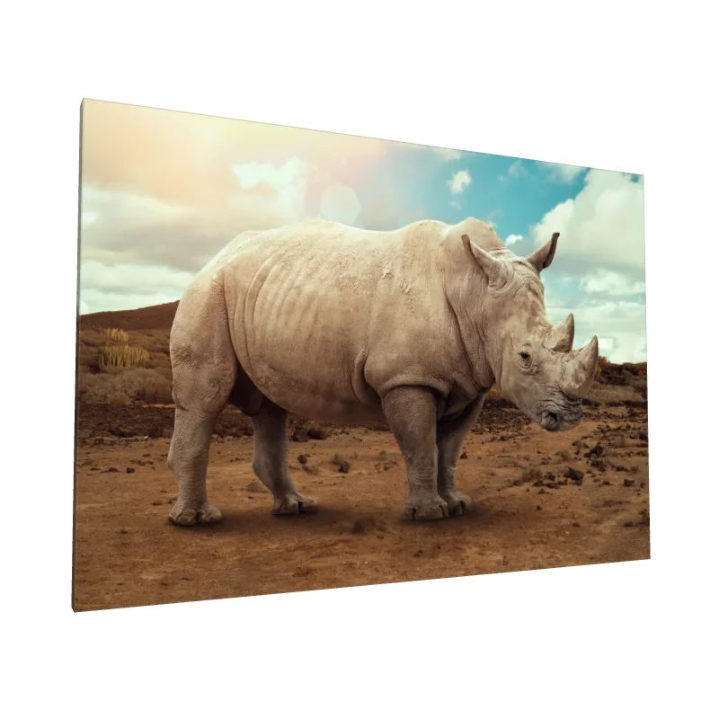 Tablou canvas: Rinocer Alb în Peisaj Sălbatic - Image 1