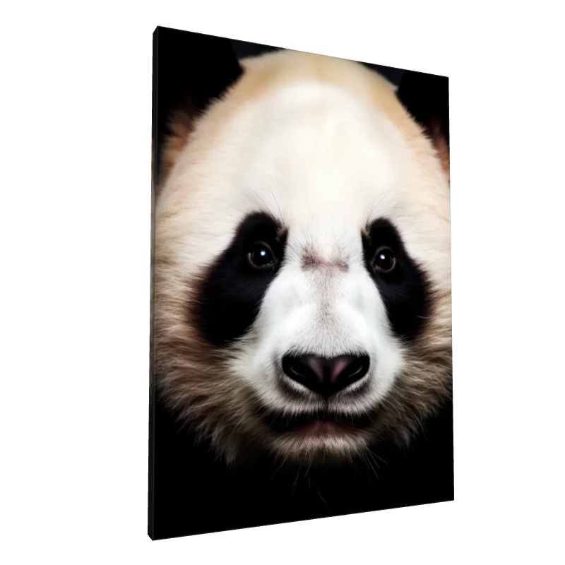 Tablou canvas: Portret Realist de Panda în Prim-Plan - Image 1