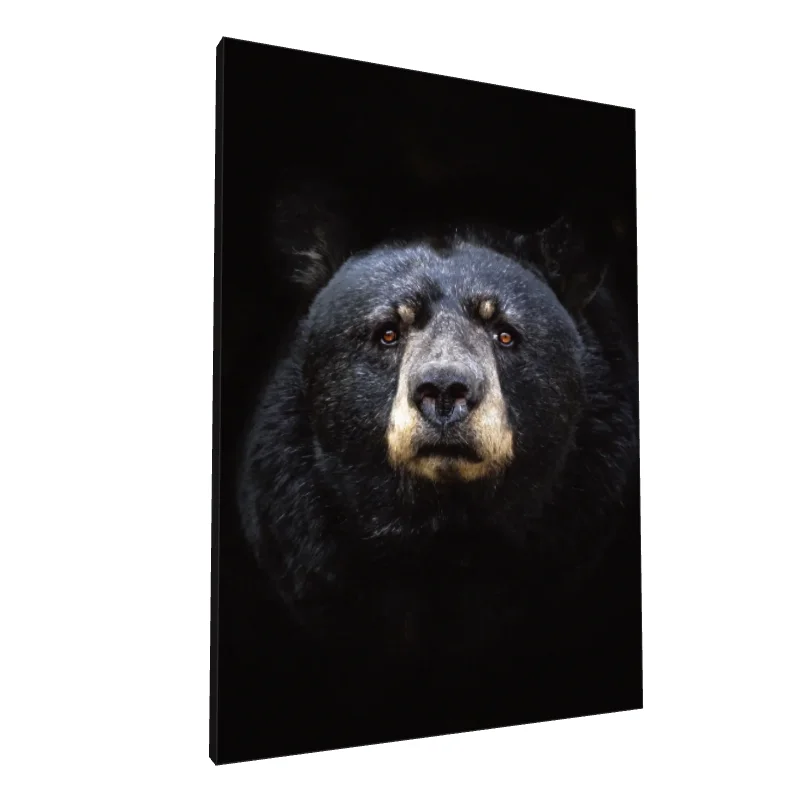 Tablou canvas: Portret Ursoaică în Izolare