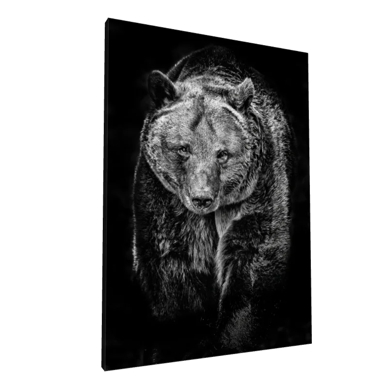 Tablou canvas: Portret de Urs în Alb-Negru - Image 1