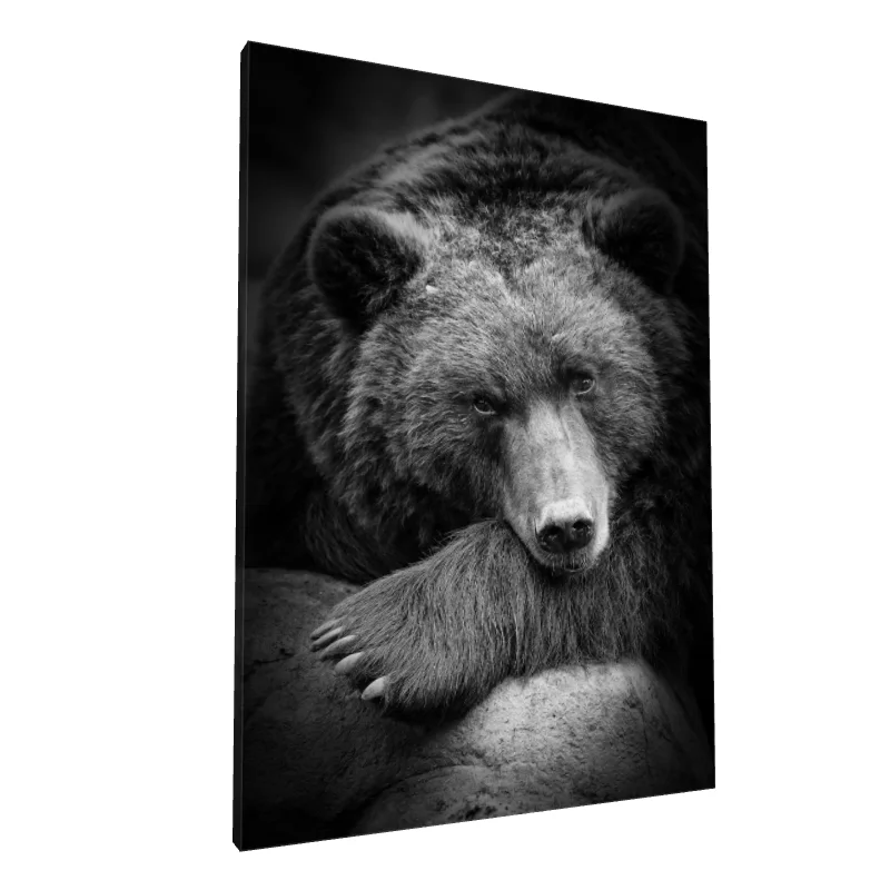 Tablou canvas: Portret de Urs în Alb-Negru (2)