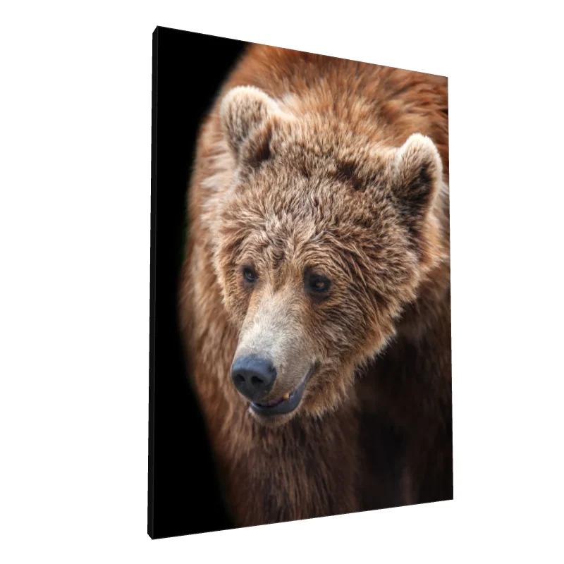 Tablou canvas: Portret Realist de Urs Brun - Image 1