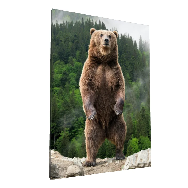 Tablou canvas: Urs în Pădurea Montană