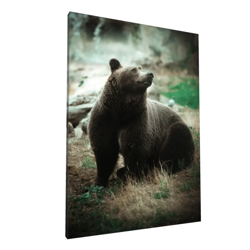 Tablou canvas: Urs în Peisaj Natural - Image 1