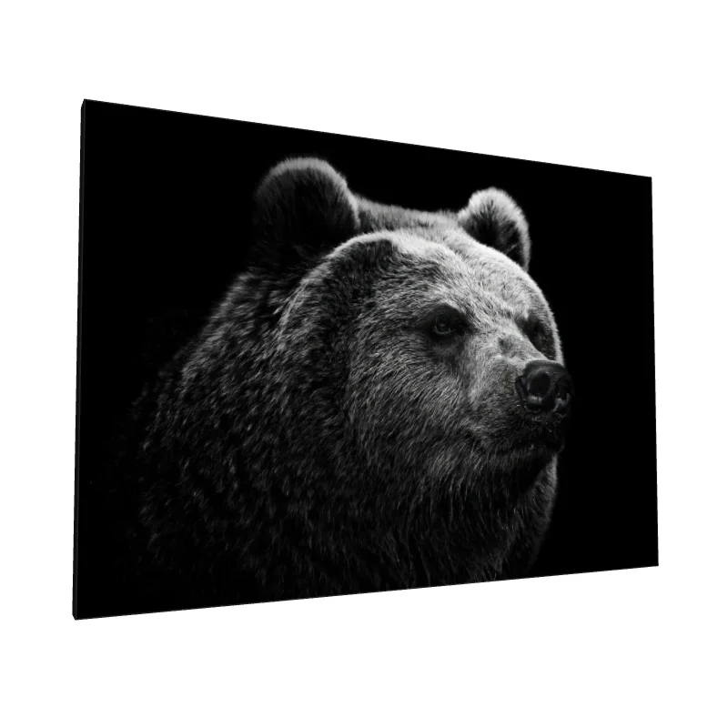 Tablou canvas: Portret Urs în Contrast Monocrom - Image 1