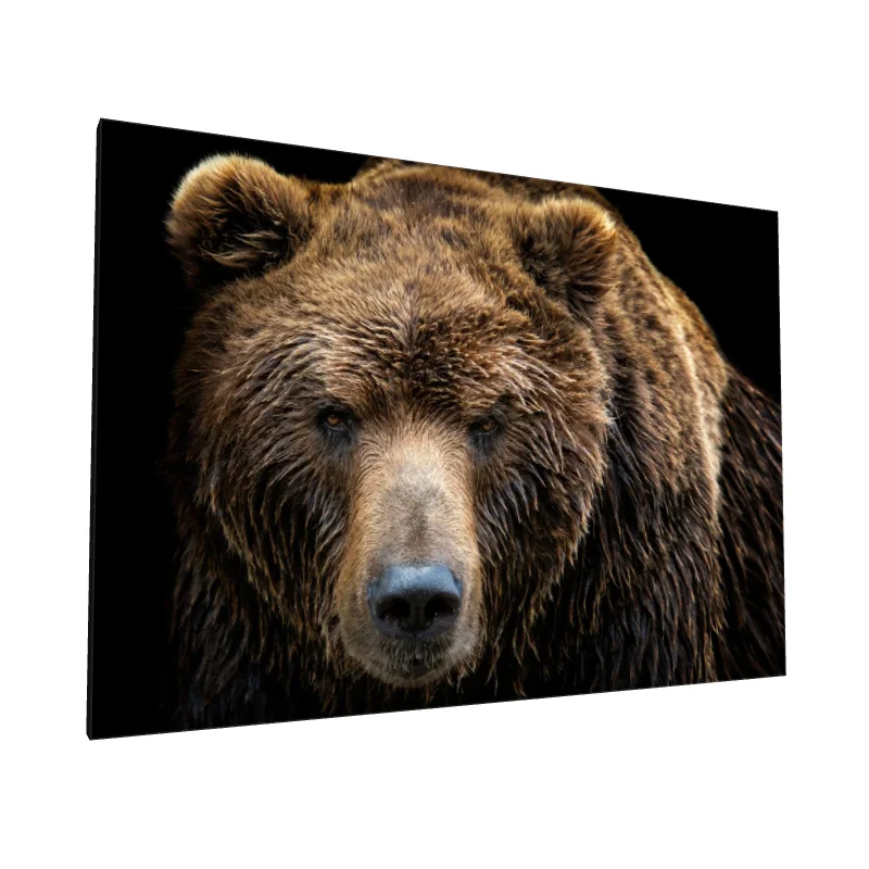 Tablou canvas: Portret Realist de Urs Brun (2) - Image 1