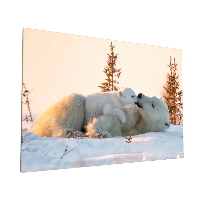 Tablou canvas: Urs Polar cu Pui în Zăpadă - Image 1