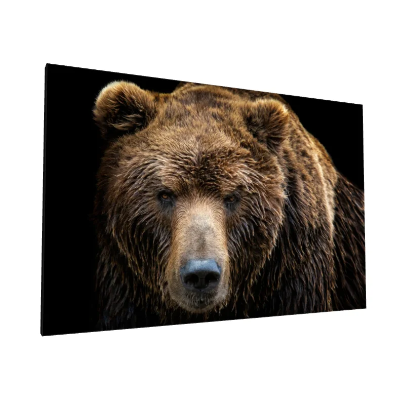 Tablou canvas: Portret Realist de Urs Brun 4