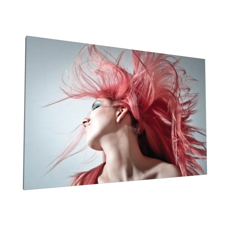 Tablou canvas: Dinamism și Eleganță în Mișcare