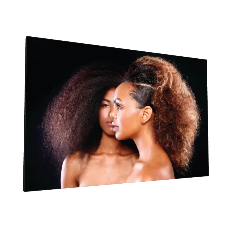 Tablou canvas: Portret de Frumusețe Afro cu Coafuri Elegante