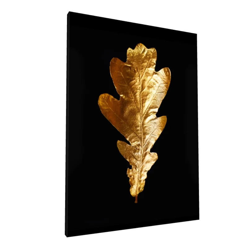 Tablou canvas: Frunză Aurie pe Fundal Negru
