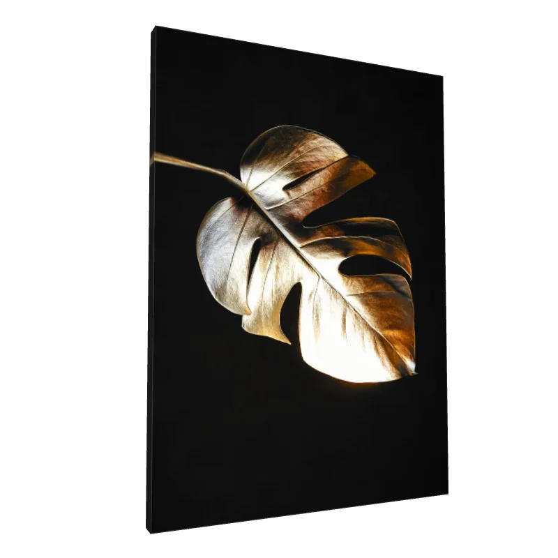 Tablou canvas: Frunză Aurie Monstera pe Fundal Întunecat