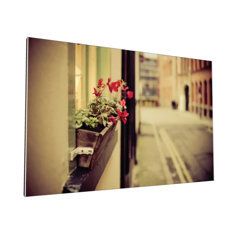 Tablou canvas: Flori Roșii la Fereastră Urbană