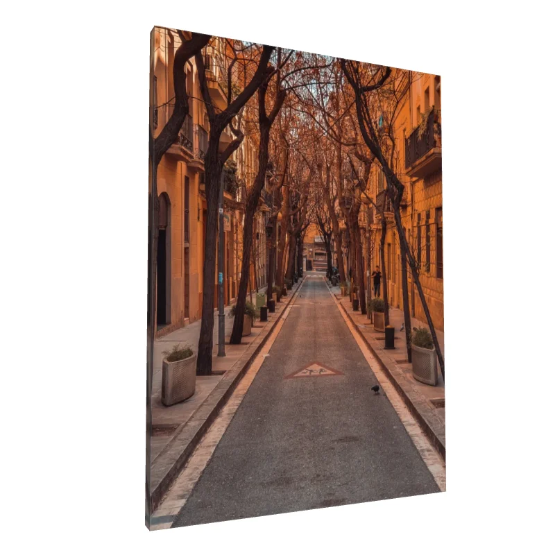 Tablou canvas: Stradă Urbană în Timpul Apusului