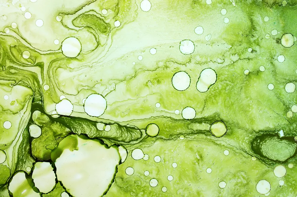 Tablou canvas: Compoziție Abstractă Verde cu Cercuri - Thumbnail 2