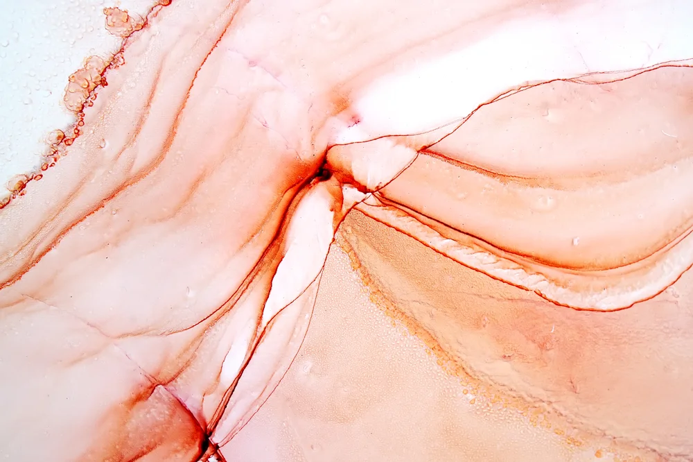 Tablou canvas: Compoziție Fluidă în Nuante de Portocaliu - Thumbnail 2