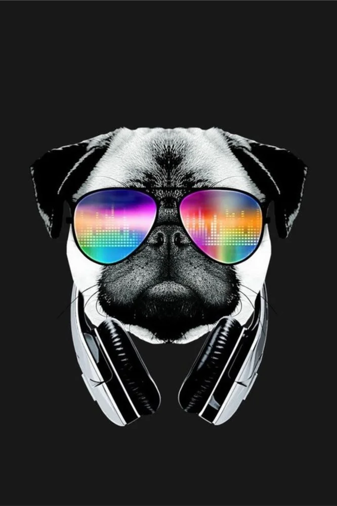 Tablou canvas: Câine cu Ochelari și Căști Colorate - Thumbnail 2