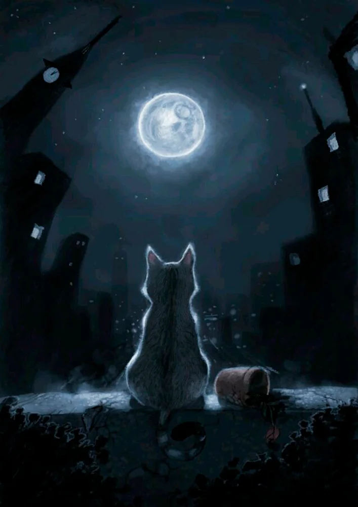 Tablou canvas: Pisică în Noapte Luminată de Lună - Thumbnail 2