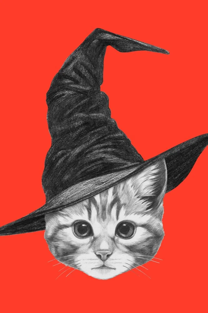 Tablou canvas: Pisicuță cu Pălărie de Vrăjitoare - Thumbnail 2