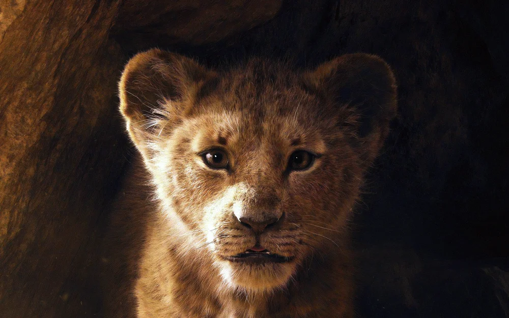 Tablou canvas: Portret Realist de Leu Tânăr - Thumbnail 2