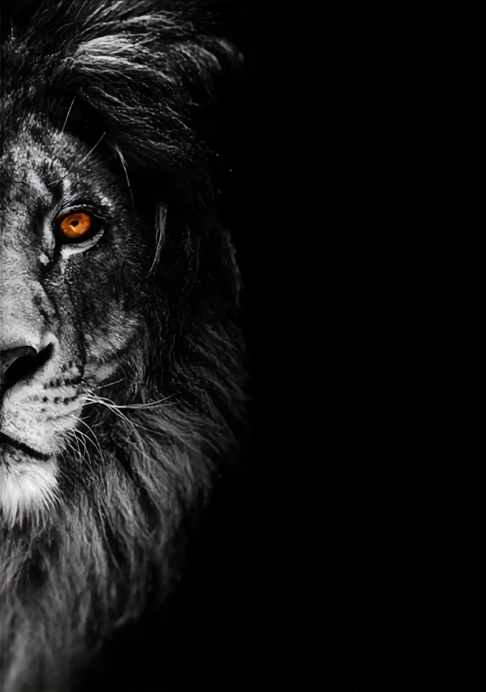 Tablou canvas: Portret de Leu în Tonuri Monocrome (2) - Thumbnail 2