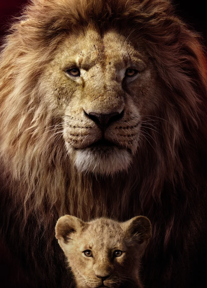 Tablou canvas: Portret Leu și Pui în Tandrețe - Thumbnail 2