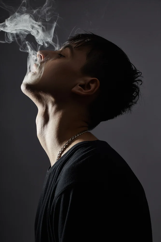 Tablou canvas: Portret cu Siluetă și Fum în Contrast - Thumbnail 2