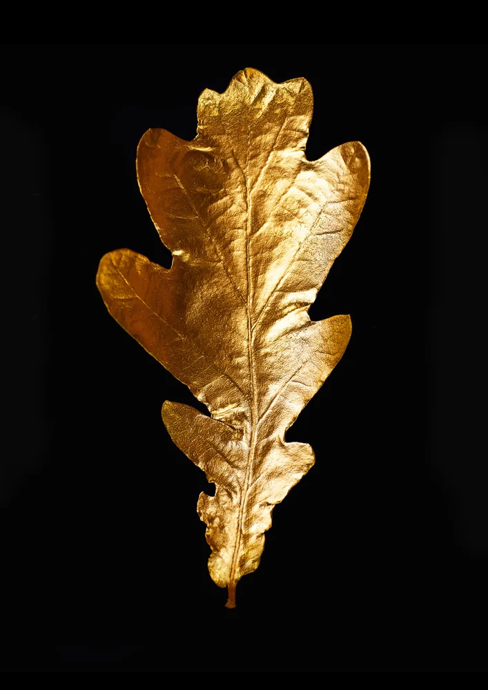 Tablou canvas: Frunză Aurie pe Fundal Negru - Thumbnail 2