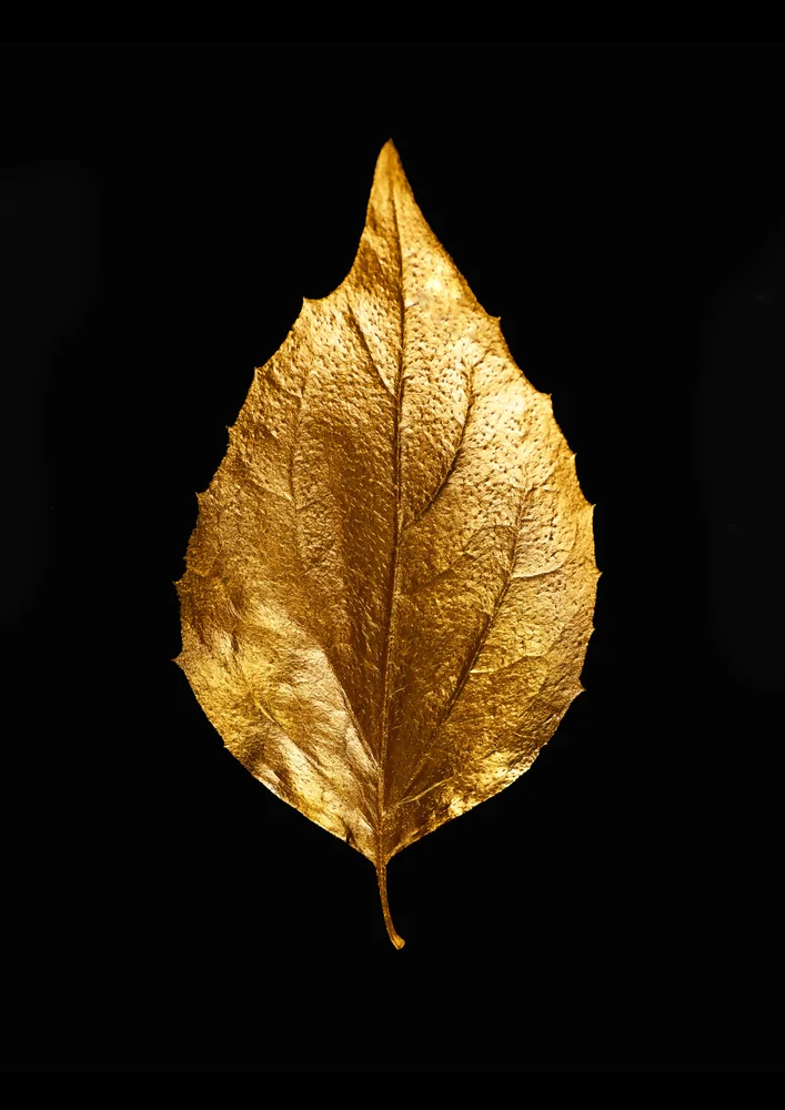 Tablou canvas: Frunză Aurie pe Fundal Negru (2) - Thumbnail 2