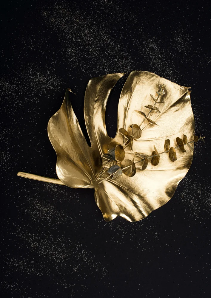 Tablou canvas: Frunză Aurie pe Fundal Negru 3 - Thumbnail 2