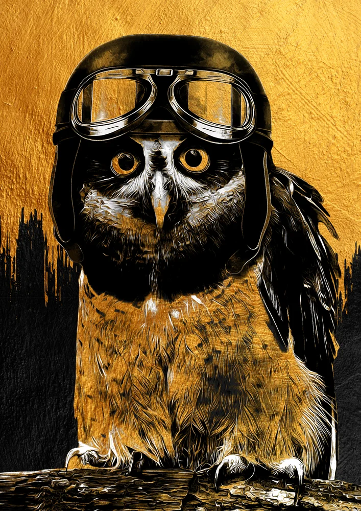 Tablou canvas: Bufniță cu Cască și Ochelari de Aviator - Thumbnail 2