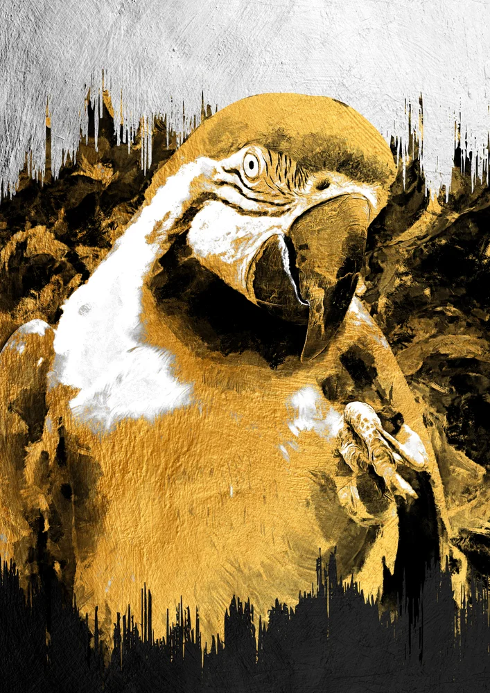 Tablou canvas: Papagal Aurit în Tonuri Contrastante - Thumbnail 2