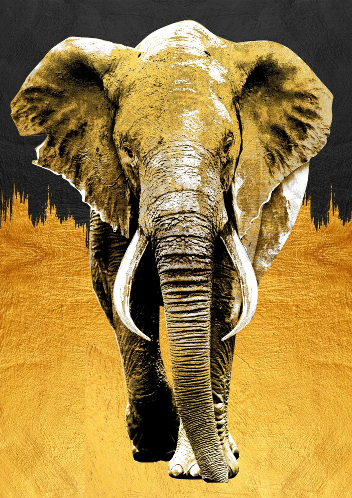 Tablou canvas: Elefant Auriu pe Fundal Contrastant - Thumbnail 2