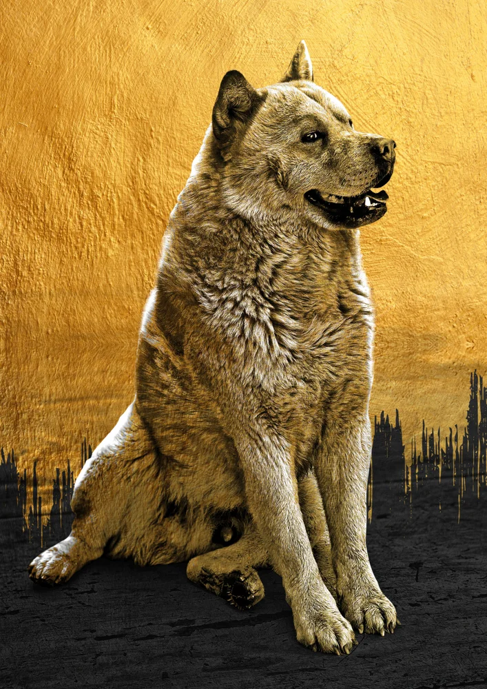 Tablou canvas: Portret Câine pe Fundal Auriu - Thumbnail 2