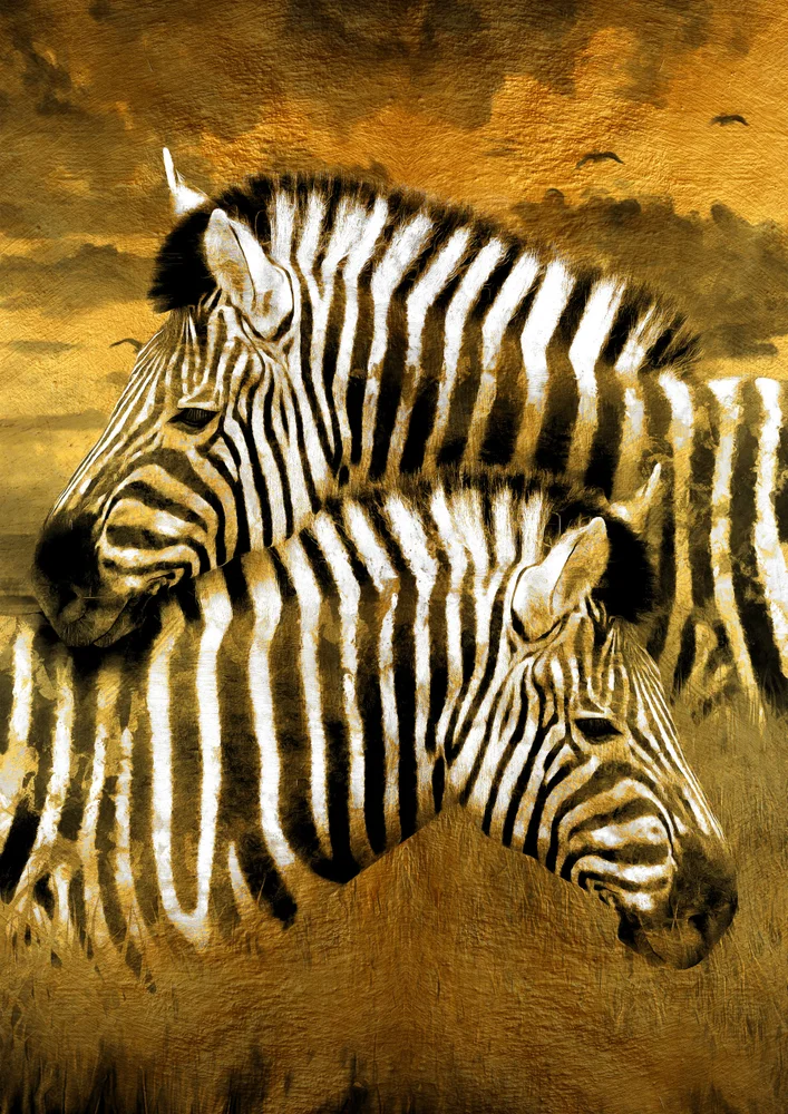 Tablou canvas: Portret Zebre în Apus Auriu - Thumbnail 2